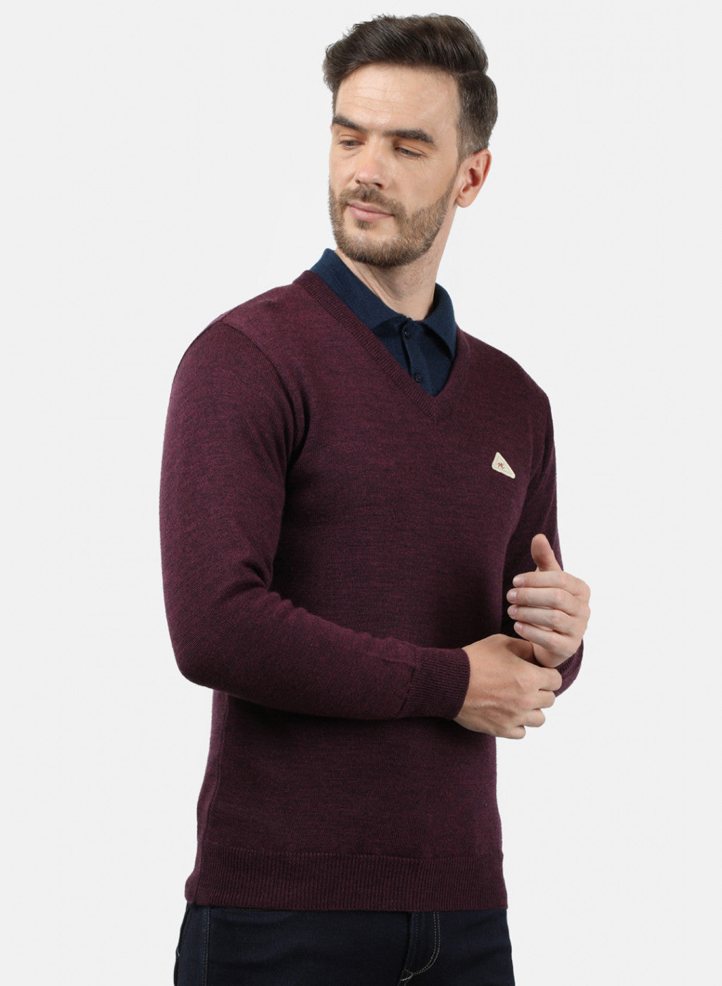 Men Purple Solid Pullover