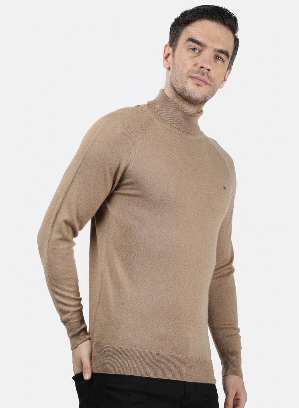 Men Beige Solid Pullover